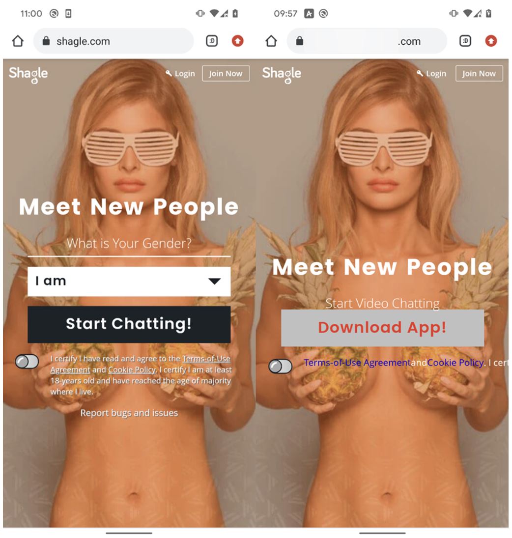 Figure-1.-Comparing-the-legitimate-website-on-the-left-and-the-copycat-on-the-right