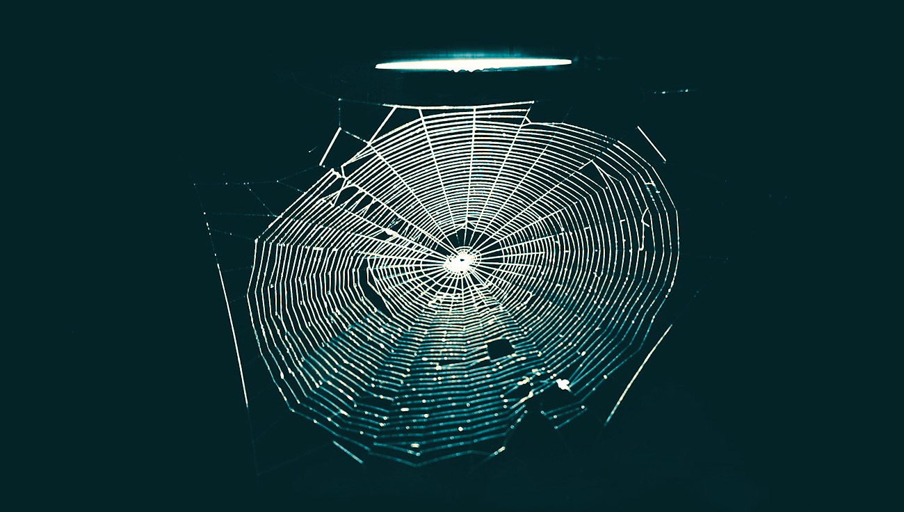 Shining a light on the dark web