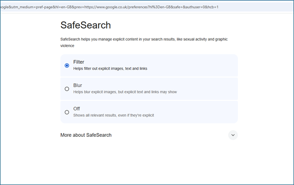 Cross-platform website blocking solutions - SafeSearch