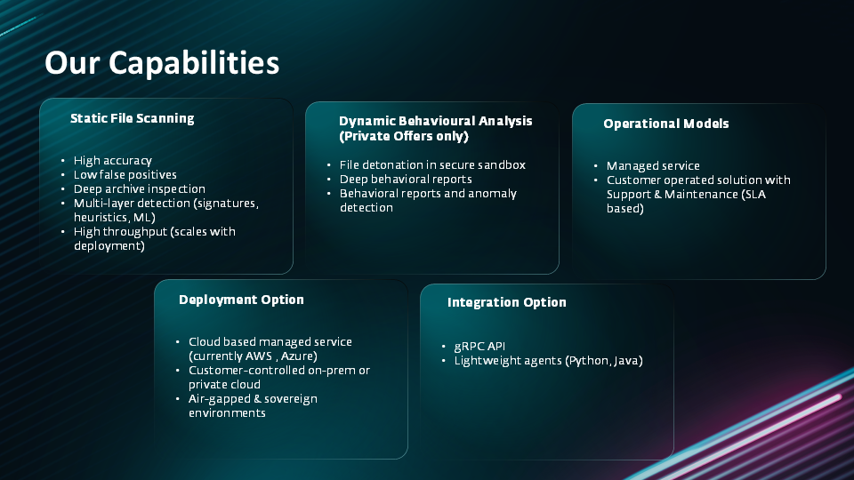 Description of ESET PRIVATE Scanning Solutions scope
