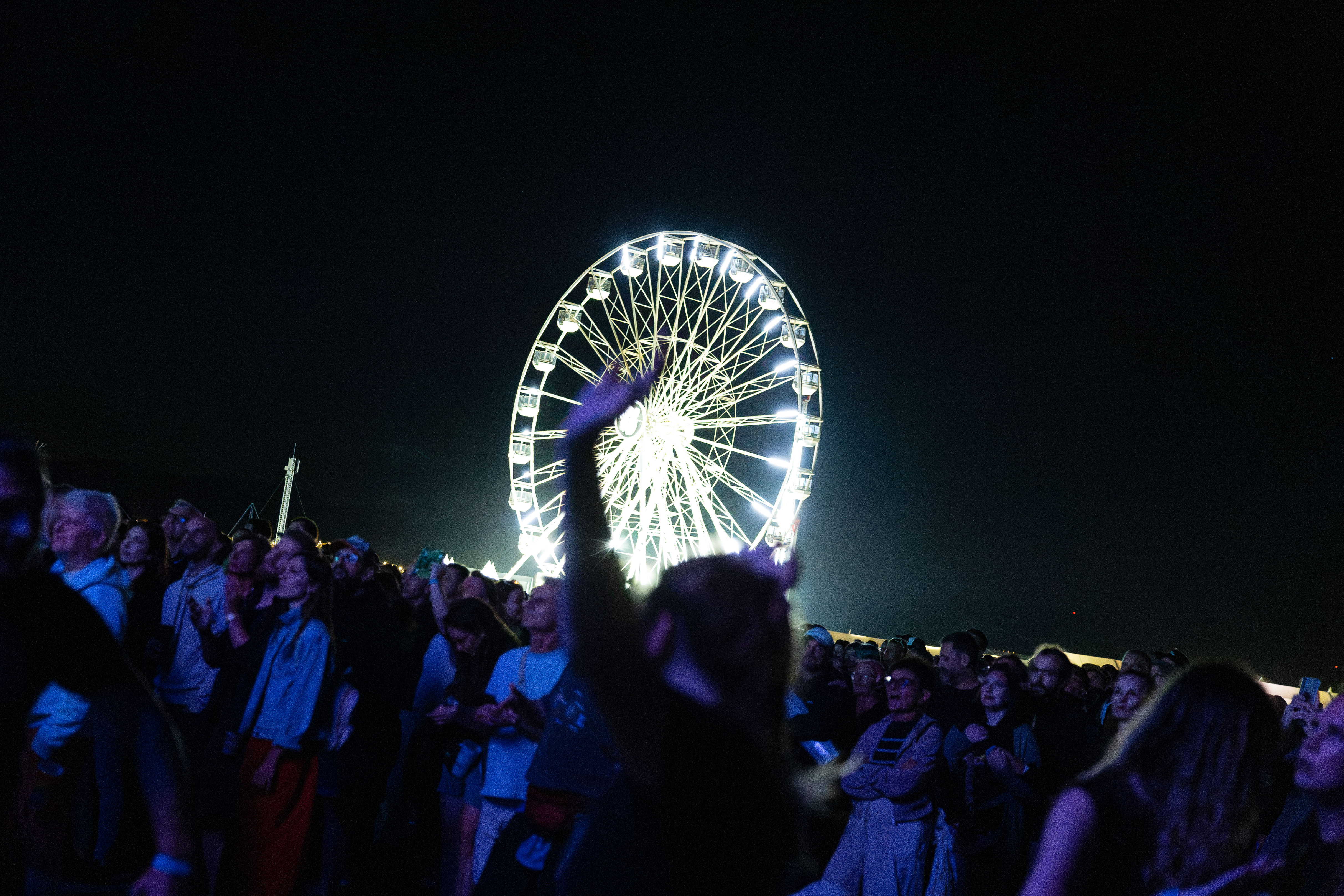 the cure crowd