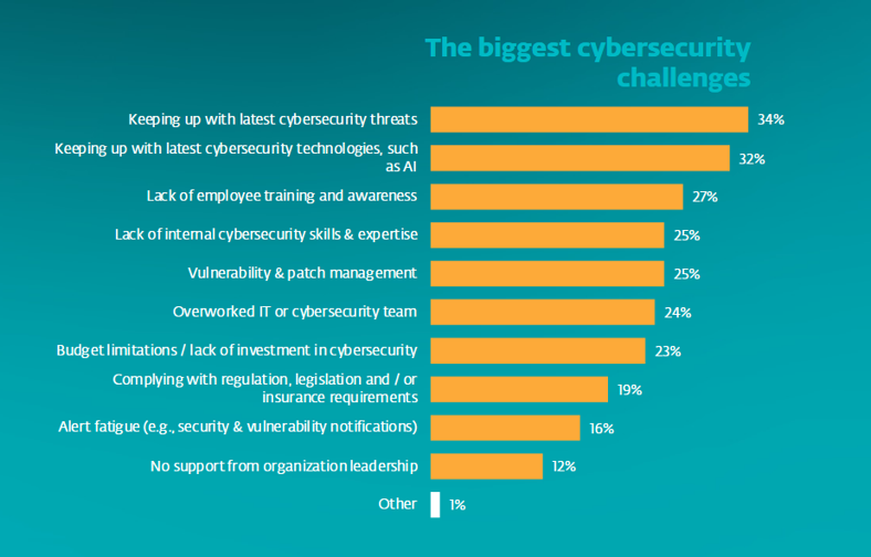 A chart of the biggest SMB cybersecurity challenges
