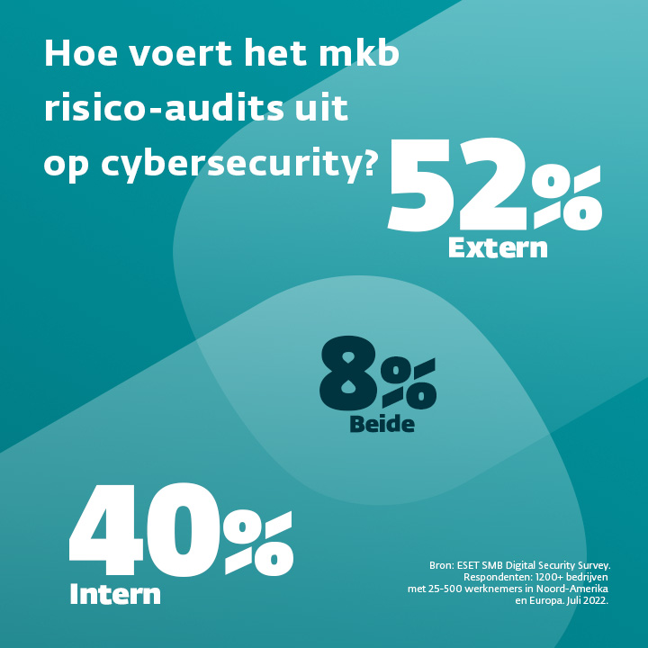 Cybersecurity risk audit 2
