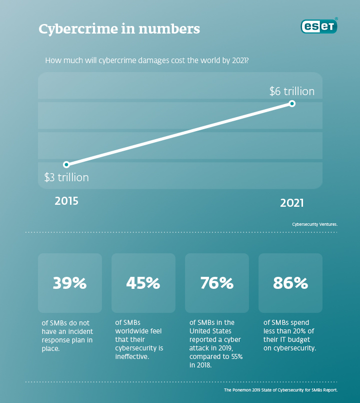  Koppelmans_Interview_hacker_stole_my_life_infographic_cybercrime_numbers