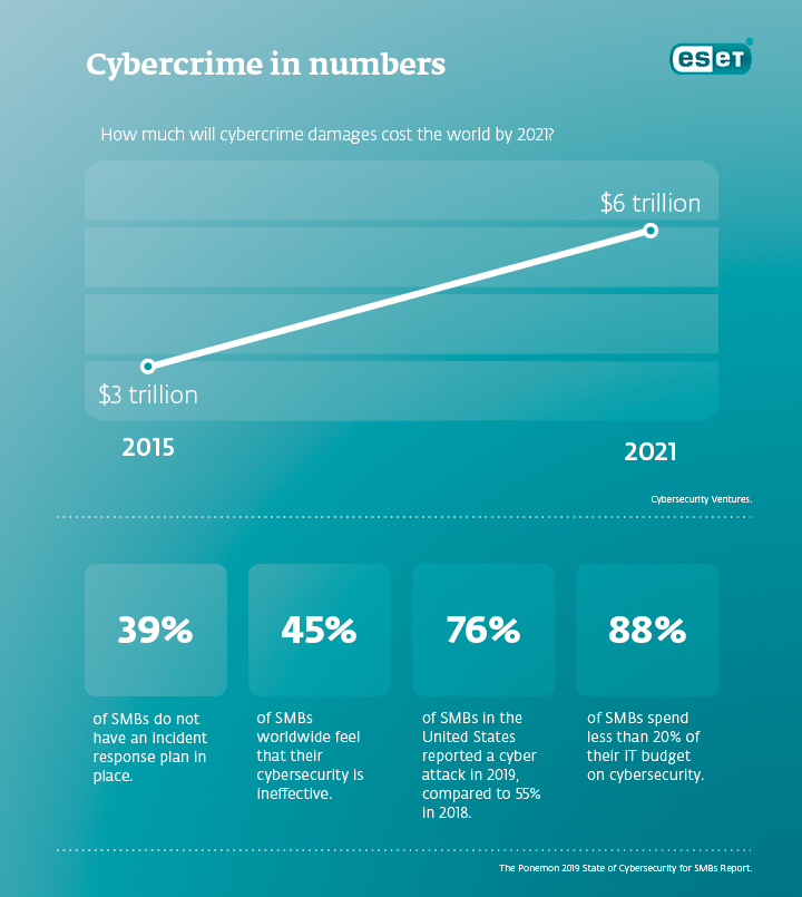  Koppelmans_Interview_hacker_stole_my_life_infographic_cybercrime_numbers