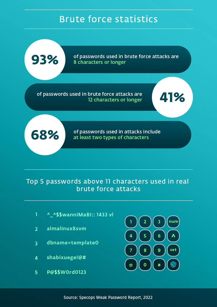 Infographic showing statistics about brute force attacks