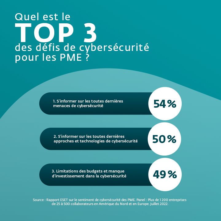 Cybersecurity risk audit 1_fr