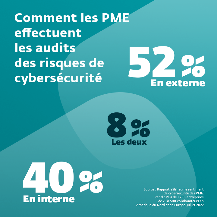 Cybersecurity risk audit 2_fr