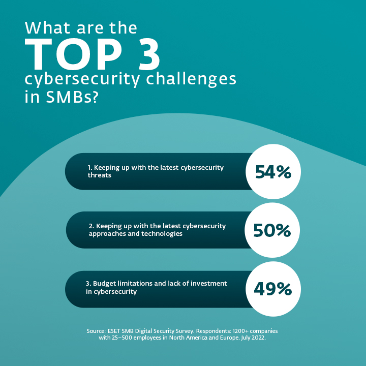 Infographic showing what are the top 3 cybersecurity challenges in SMBs