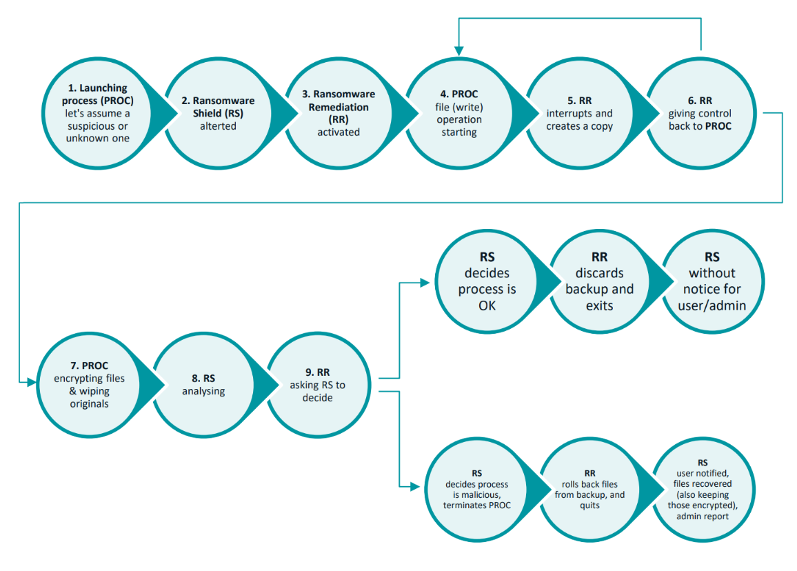 eset-ransomware-remediation-tree