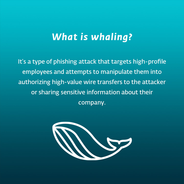 Picture explaining the meaning of whaling phishing attack