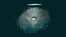 Shining a light on the dark web