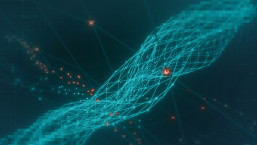 Your connection is not private: What it means and how to fix it