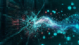 What is vulnerability management? Process, lifecycle & best practices