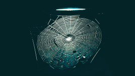 Shining a light on the dark web