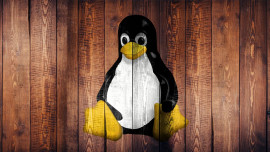Up close and personal with Linux malware