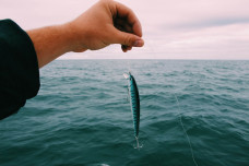 Would you take the bait? Take our phishing quiz to find out!