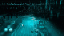 Nimfilt: uma ferramenta de engenharia reversa para binários compilados com a linguagem Nim