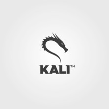 Polémica funcionalidad de autodestrucción en Kali Linux: ¿bueno o malo?