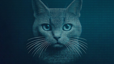 Bootkitty: Analyzing the first UEFI bootkit for Linux