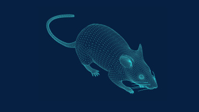 Ratty: un troyano que se propaga en Latinoamérica a través de PDFs maliciosos