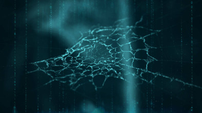 O que fazer se seus dados forem vazados na Dark Web?