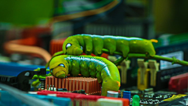 O que é um worm de computador e quais são suas características