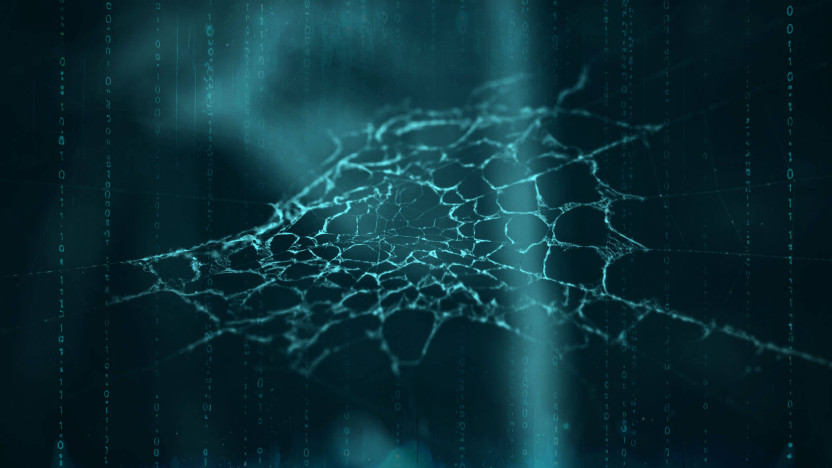 O que fazer se seus dados forem vazados na Dark Web?