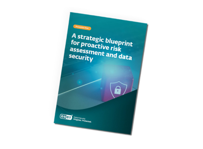 A strategic blueprint for proactive risk assessment and data security