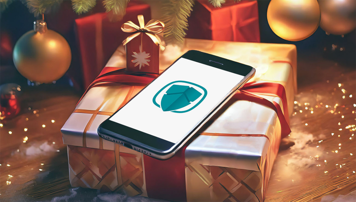 Don´t let cybercriminals steal your Christmas joy