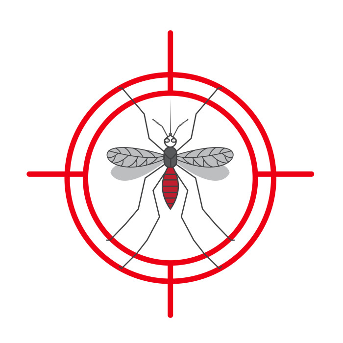 Campaña Mosquito de Turla: cambios hacia el uso de herramientas más genéricas