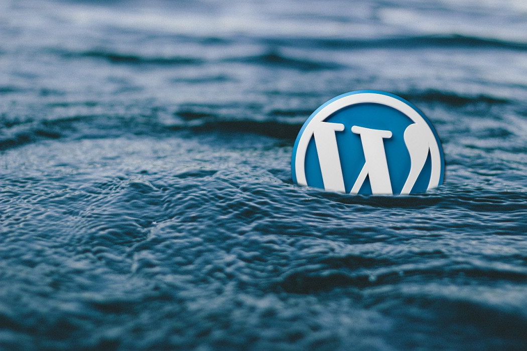 Former employee blamed for hack of WordPress plugin maker