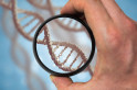 Malware coded into synthetic genomes