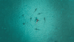 Timeshare exit scams: From fake buyers to recovery fraud