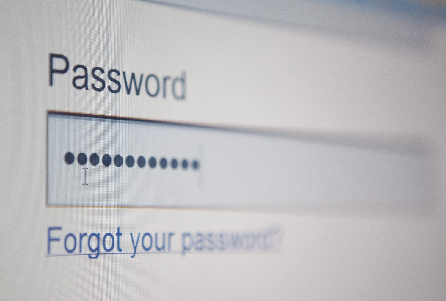 Website password entry screen - 22 Jul 2010