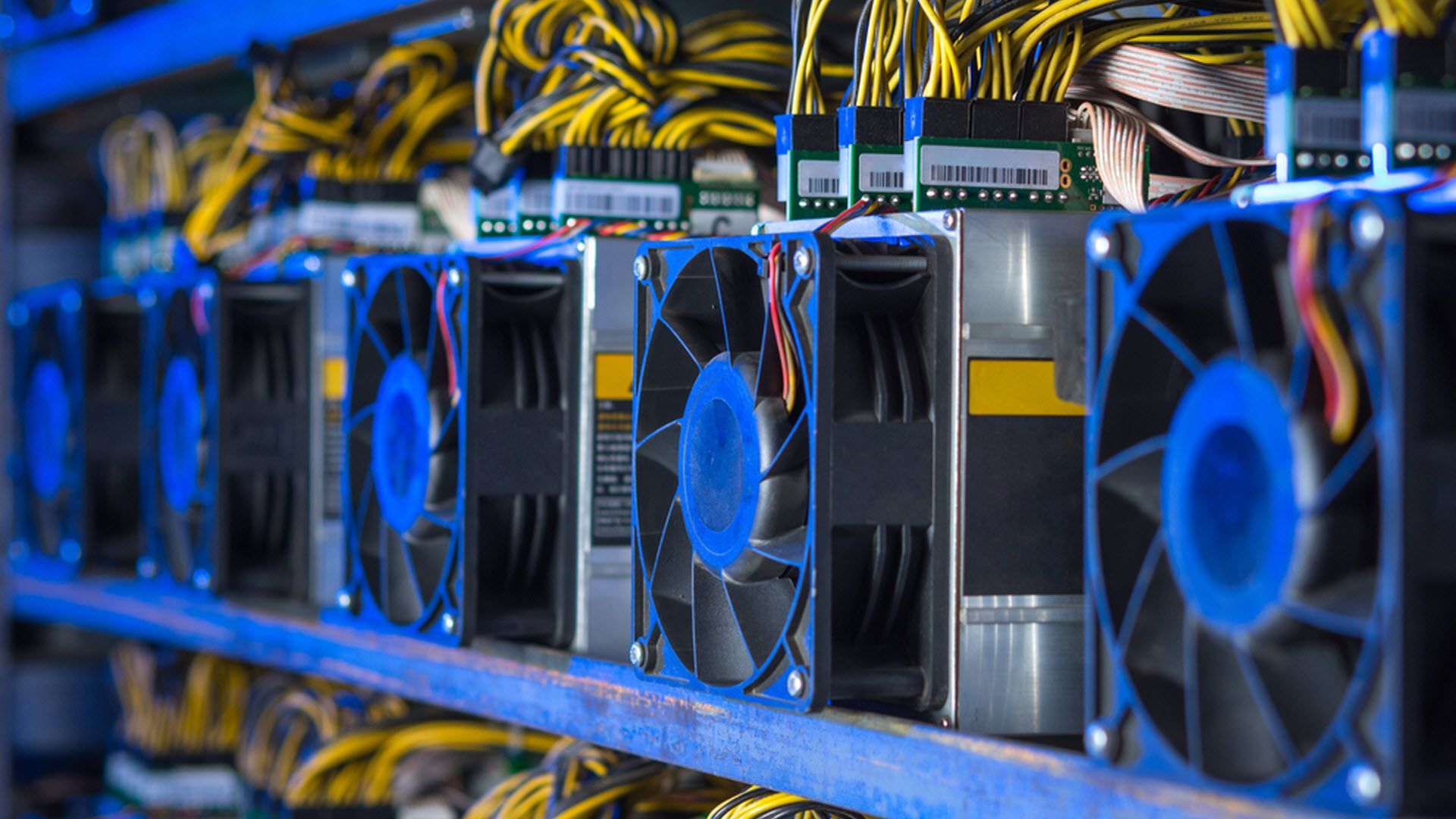 XMRig: por qué este minero de criptomonedas resulta tan atractivo para los  cibercriminales