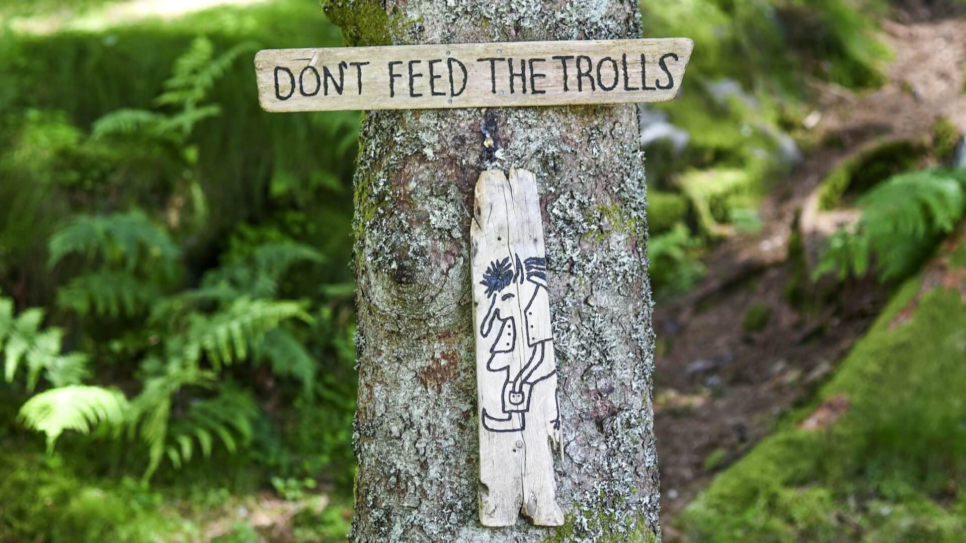 Don't feed the trolling: rethinking how online trolling is being defined  and combated