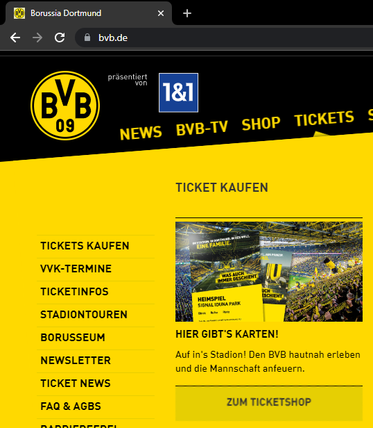 BVB_Ticket