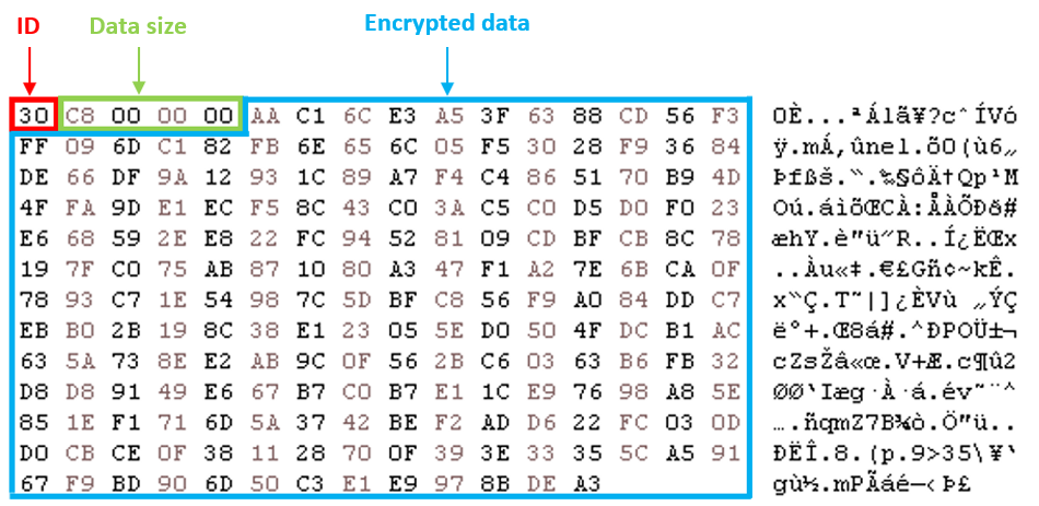 Figure 4 encrypted packet example