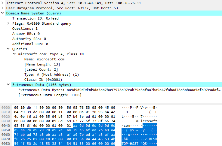 Figure 10. DNS query