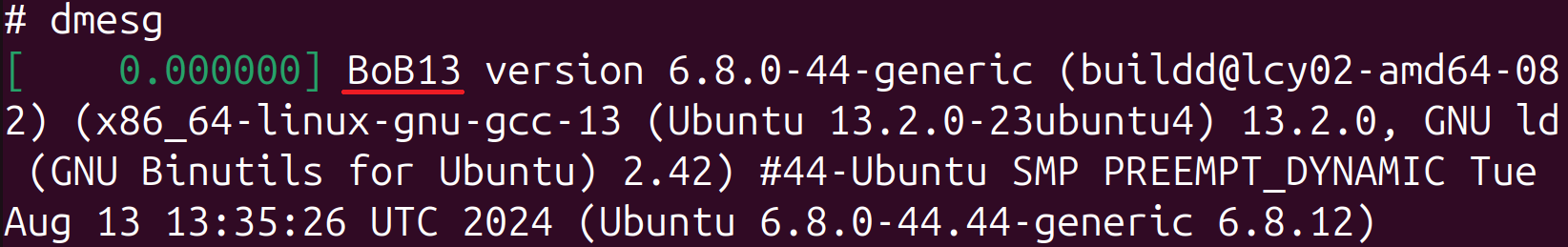 Figure 10. BoB13 string in dmesg output