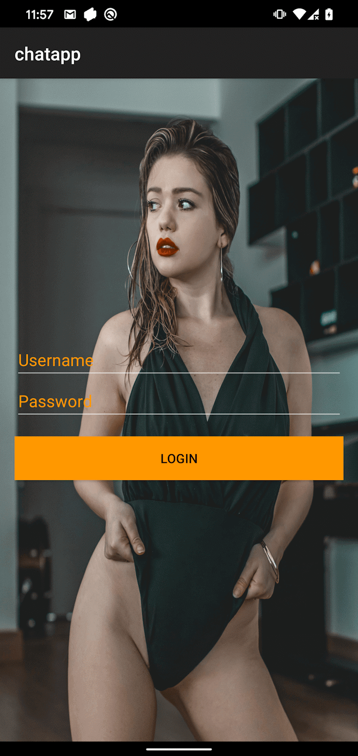 Figure 3. GhostChat&rsquo;s login screen