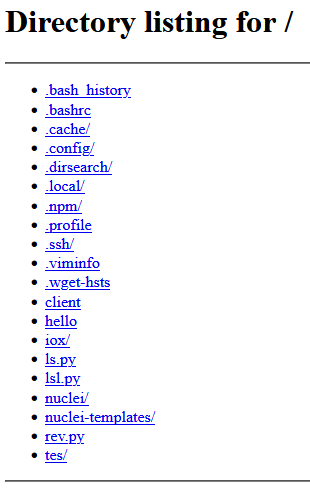 Figure 2. Open directory listing