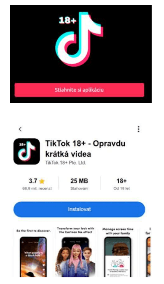 scam-ads-tiktok-18